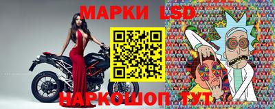 гашик Будённовск