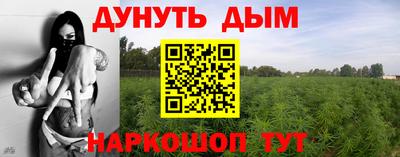 гашик Будённовск