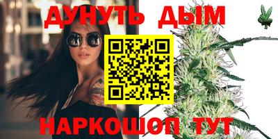 гашик Будённовск