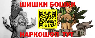 гашик Будённовск