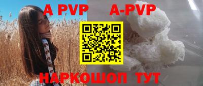 гашик Будённовск