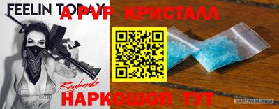 гашик Будённовск