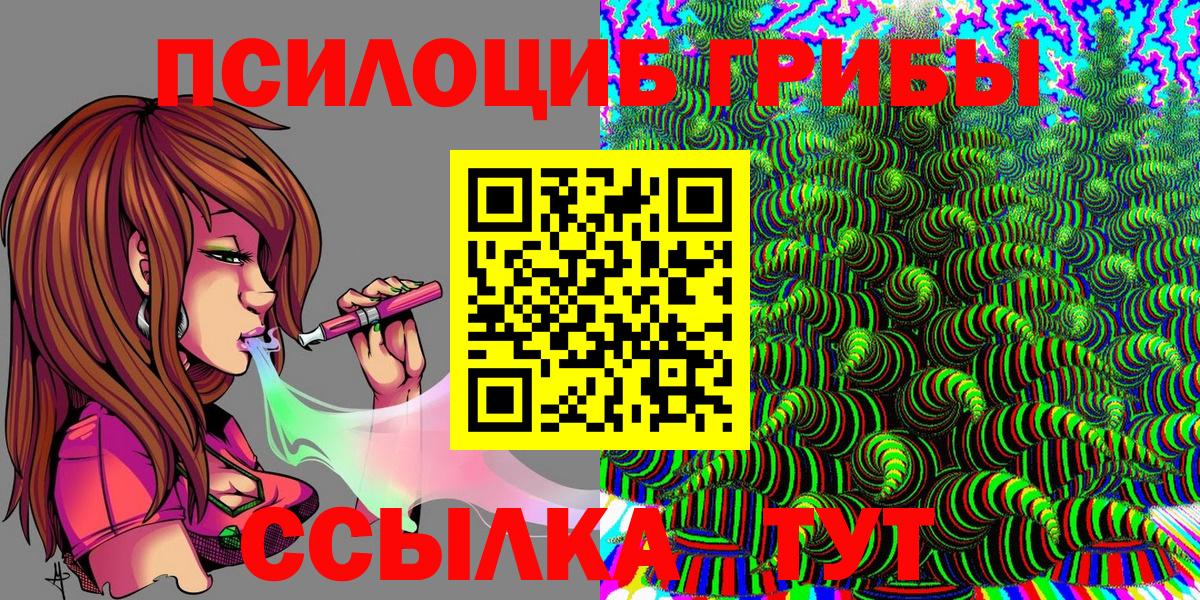 Псилоцибиновые грибы Psilocybe Шахты